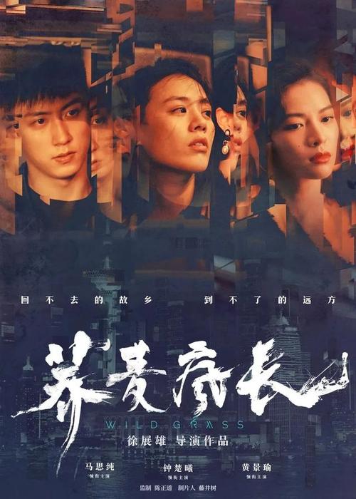 办假的三一国际大学毕业证